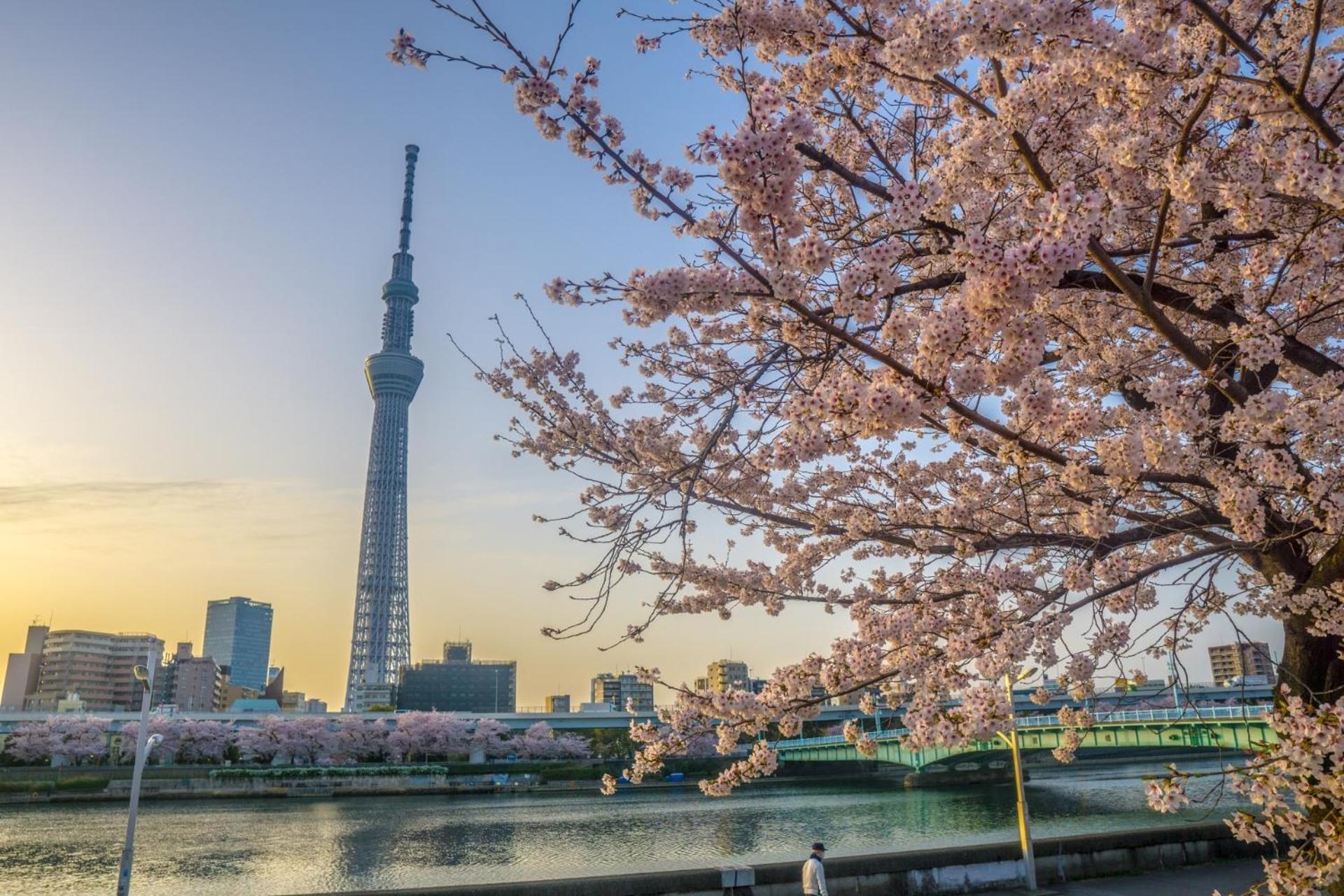Stayme The Asakusa Riverside * Prefektura Tokio