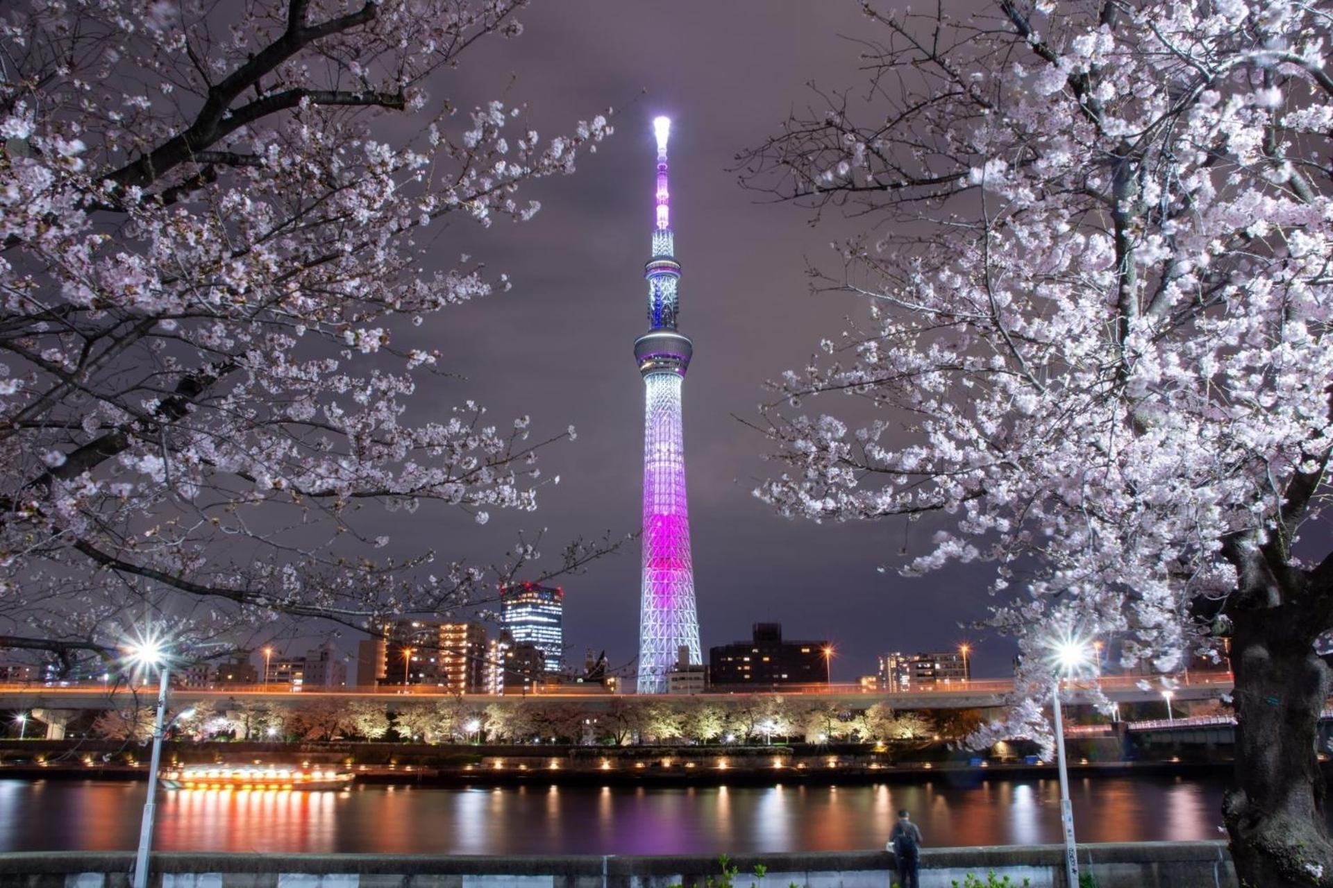 Stayme The Asakusa Riverside Hotel apartamentowy *